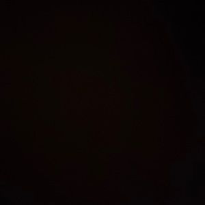 Meet your Posher, Luna